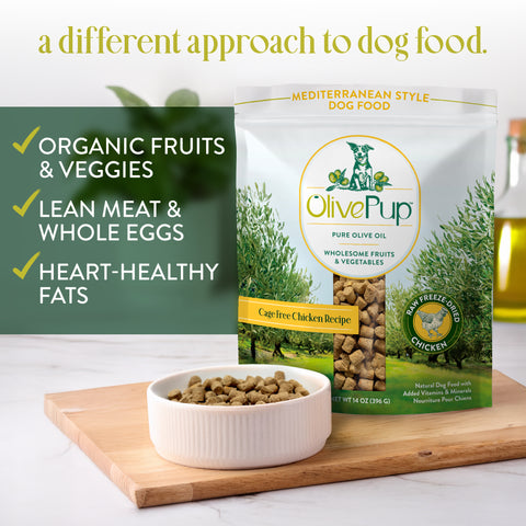 Cage Free Chicken Recipe